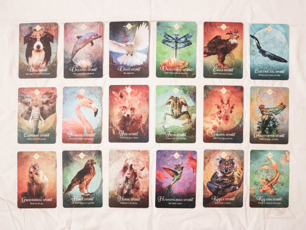 Oracle Card Deck Review: The Spirit Animal Oracle by Colette Baron-Reid